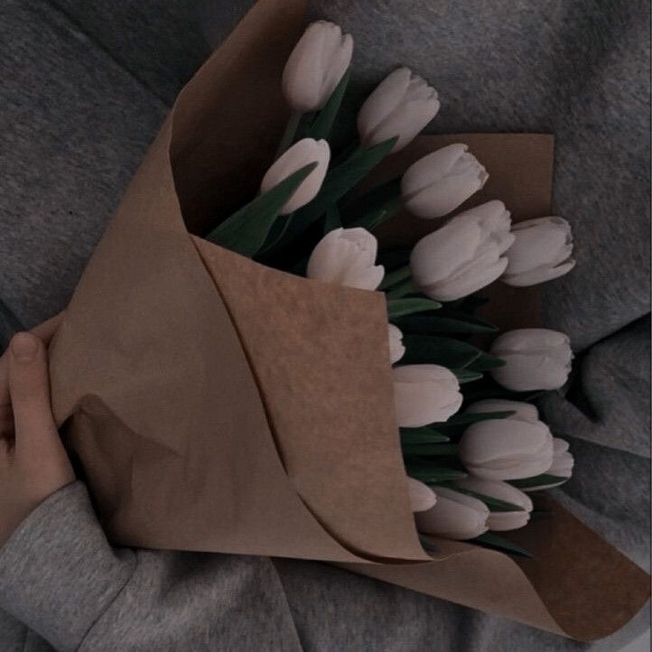 _error_alex's tweet photo. — Aceita? —
Uma Oneshort das Reydaga
(Reyna × Adaga)
~ Reyna e Adalia mal podiam esperar pelo momento de responderem novamente aquela pergunta ~
#OSpeedrunNaFloresta
#SpeedmonthNaFloresta
#ReydagaWeek https://t.co/qoIeEKfvyo