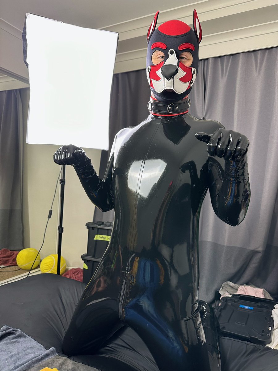 Pup Smudge tweet media