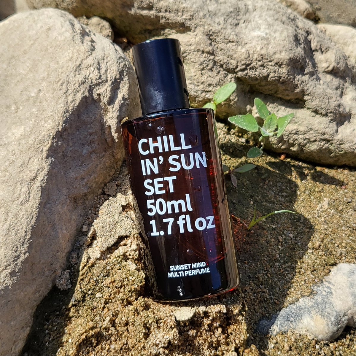 여름 영화 모음 🎬 해질녘 혹은 한가한 대낮에 다가올 여름을 기다리는 마음으로 봐야할 제가 정말 좋아하는 영화를 리스트 업 했습니다 진짜...