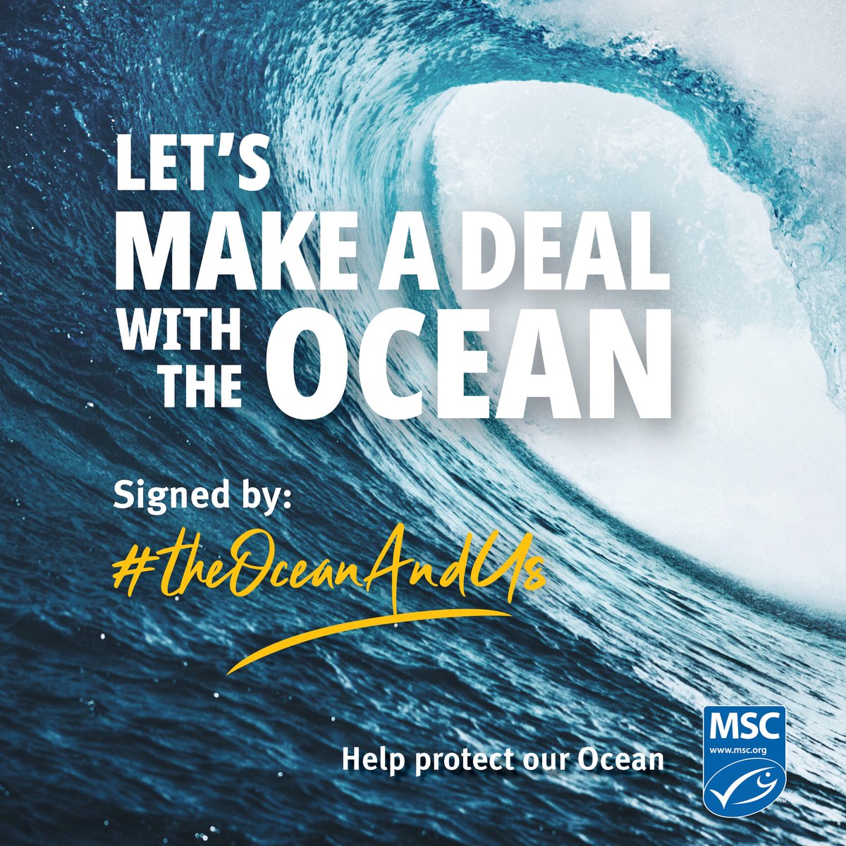 #WorldOceanDay may be over, but fear not, you can still do your bit to protect the future of our Ocean. 🌊

If you’re a fisher, marine scientist, seafood buyer or retailer, get involved and share your commitment to protect the Ocean. ➡️ bit.ly/42n1OWS #TheOceanandUs
