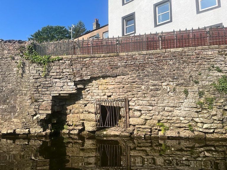 View from the River tweet media