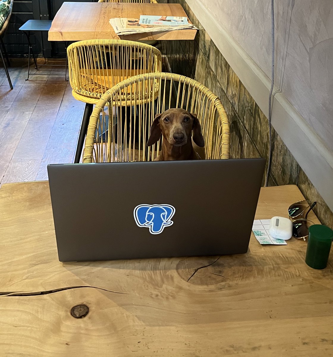 alansmid's tweet photo. I have no idea what I’m doing.. https://t.co/KsCirZWBEW