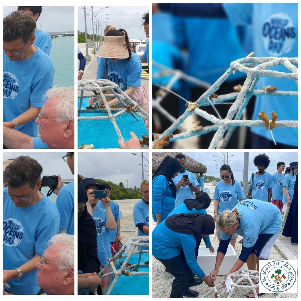 MolhadhoCouncil's tweet photo. To celebrate World Ocean Day 2023, JA Manafaru Resort and Molhadhoo Council organized an awareness session for Molhadhoo school children about saving endangered marine life as well as a coral planting program in various locations along the reef in Molhadhoo. https://t.co/r9M5H8jPtA