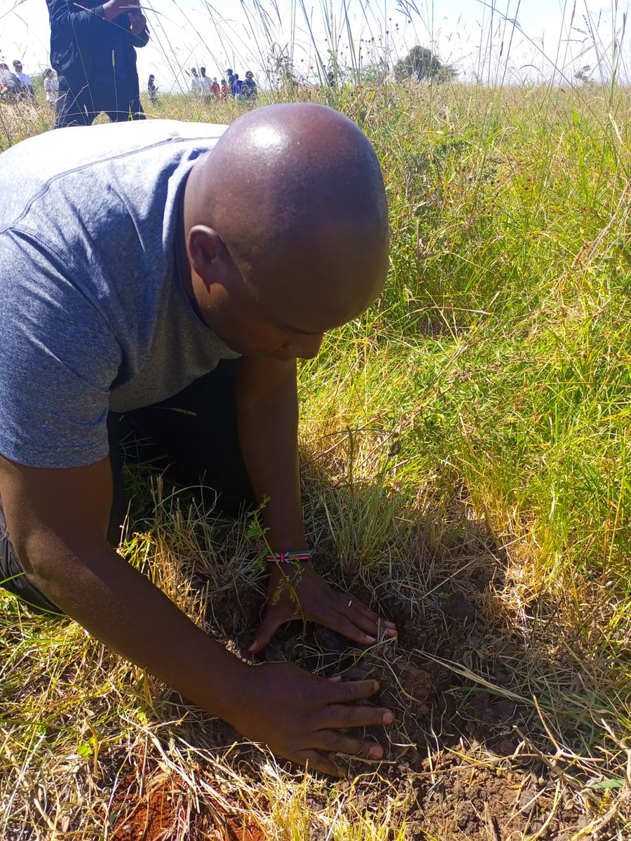 taka_kazi's tweet photo. It was a Planting BEEHIVE of activities growing #Trees at the home of #wildlife #NairobiNationalPark Down to business #JazaMiti #15BillionTrees @rusingaschools @HonTuya serving Kenya diligently @KWSKenya @KeForestService #AlphaTrees @taka_kazi @georgeofunja #WorldEnvironmentDay https://t.co/vyHZQioNks