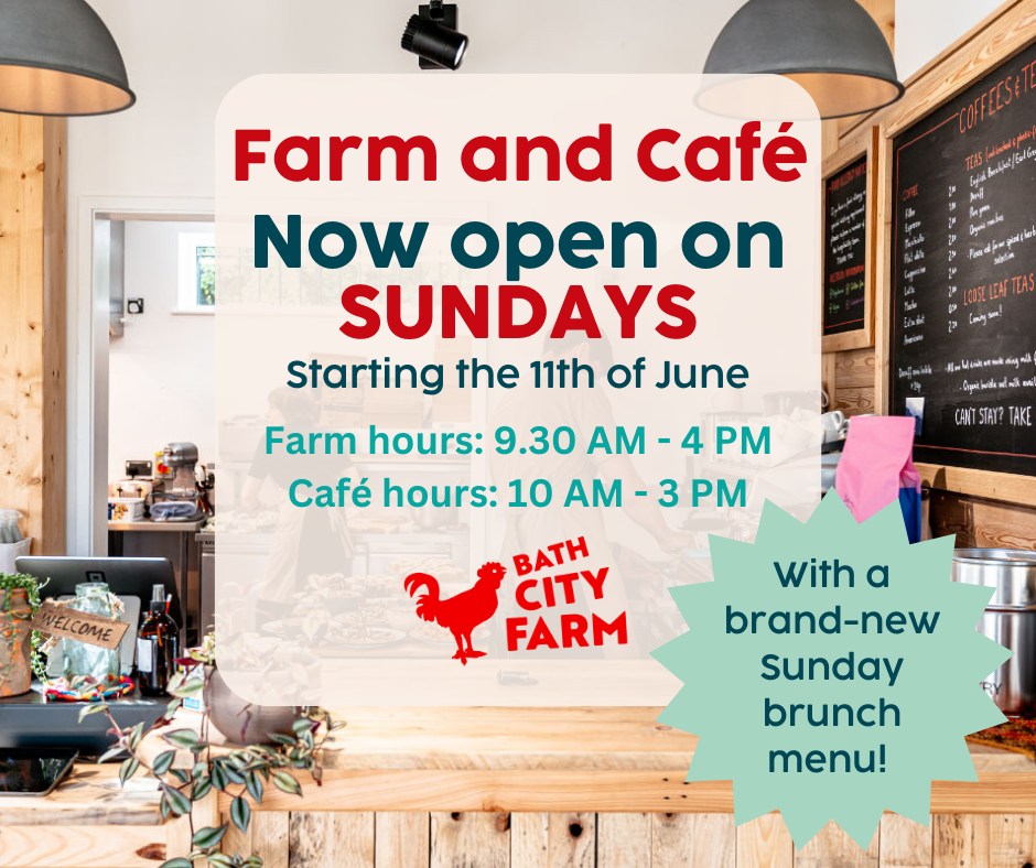 Today's is our first day opening on Sundays at the Farm! Come and join us in the cafe from 10 am to 3 pm for a special brunch menu including the pancake stack with bacon and maple syrup! More options available. See you there!

#newventure #cafe #farmlife