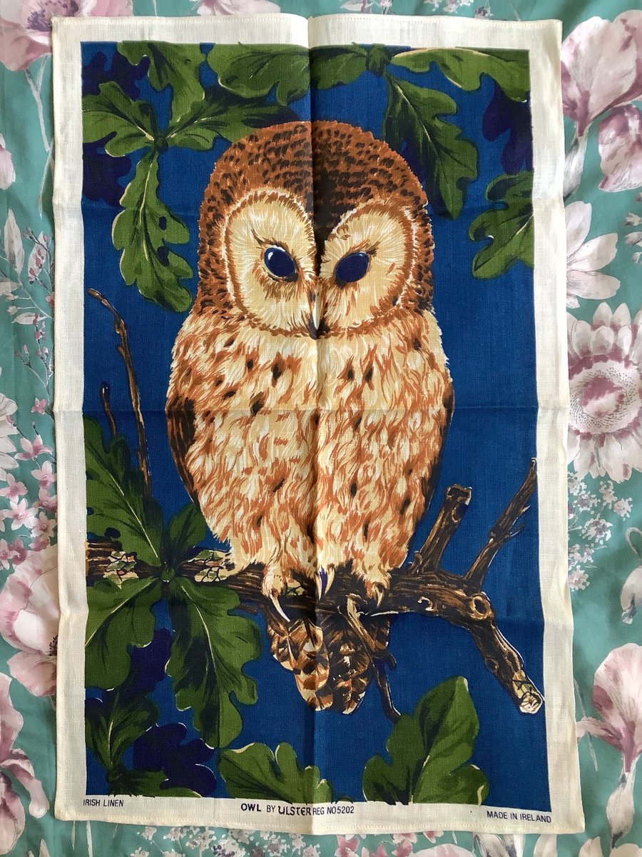 WatsonsVintage's tweet photo. NEW LISTING Oh my! This is a real beauty! Rare Vintage 1970s Owl Design Ulster Linen Tea Towel. Made in Ireland. https://t.co/j8VQiL08C6 #VintageLinen #WallHanging #OwlLoverGift #WeddingAnniversaryGift #CollectableLinen #CamperVanDecor #70sHomeDecor #KitschGift #RetroGift https://t.co/C3Z37aIq0Q
