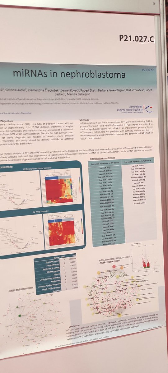 Diving into the world of miRNA in Wilms tumors! 🔬 Could there be a novel early biomarker hidden in these tiny molecules? We hope to find some answers that will help the future of #PediatricOncology. Stay tuned for potential exciting discoveries! #miRNA #WilmsTumor 🧬💡