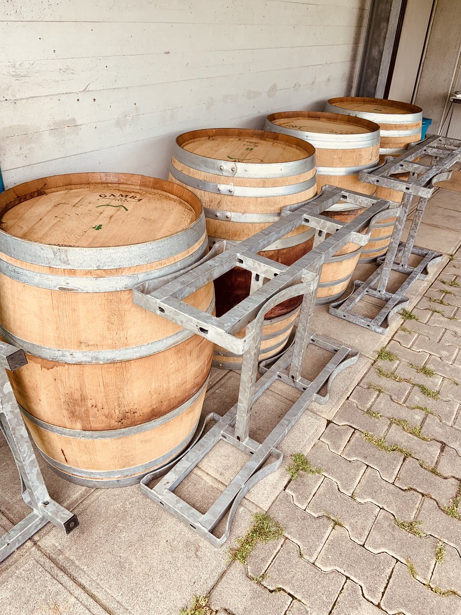 Siamo quasi pronti per l’imbottigliamento dei nostri due vini rossi più importanti: Barbera Riserva e Bolognino Rosso Riserva dell’annata 2020 !!! Coming soon 🍷