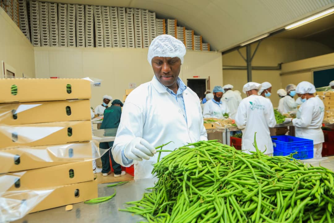 Umuseke's tweet photo. Abahinzi b’imbuto n’imboga bananiwe guhaza isoko bafite mu mahanga.
==
INKURU IRAMBUYE...
https://t.co/wHJv494DSk @RwandAgriExport @RDBrwanda
@RwandaAgri @RwandaMFA @AIFRwanda https://t.co/1iryqHZvsL