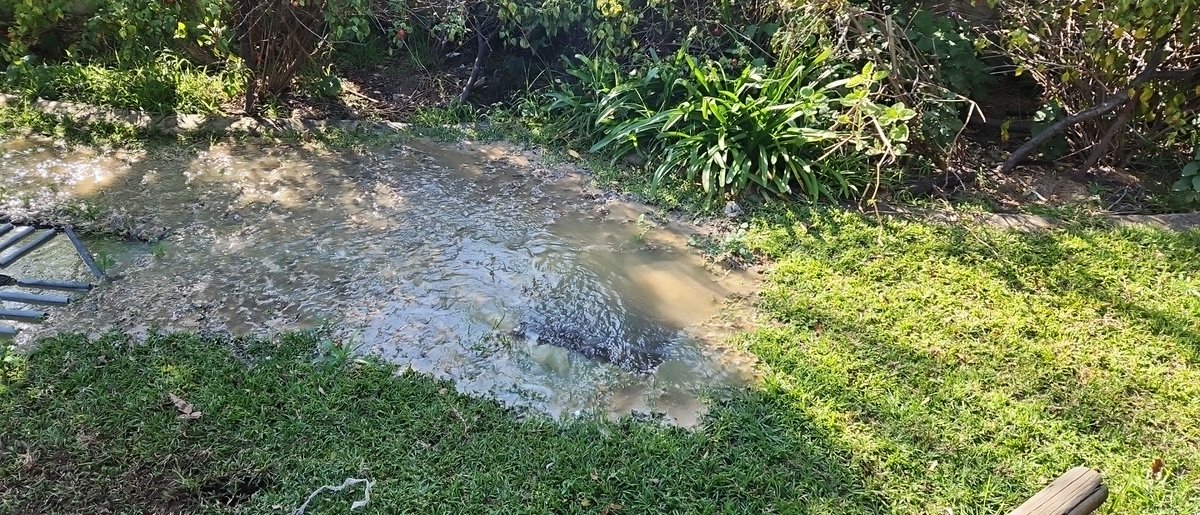 OnTimeContract's tweet photo. @JHBWater Blocked main sewer 202 Pritchard rd JHB North https://t.co/ifge8K2kSA
