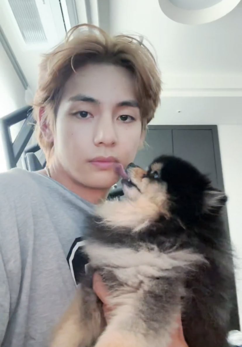DAEGU BOYS⁷ tweet media