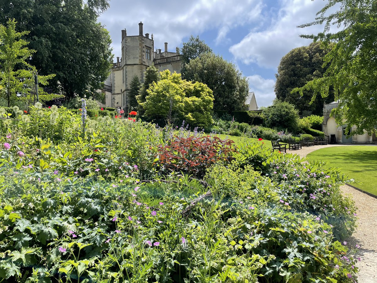 sherbornecastle's tweet photo. Looking up to the castle from the Orangery.
@VisitDorset @theRHS @VisitWestDorset https://t.co/JBOW8TGjbI