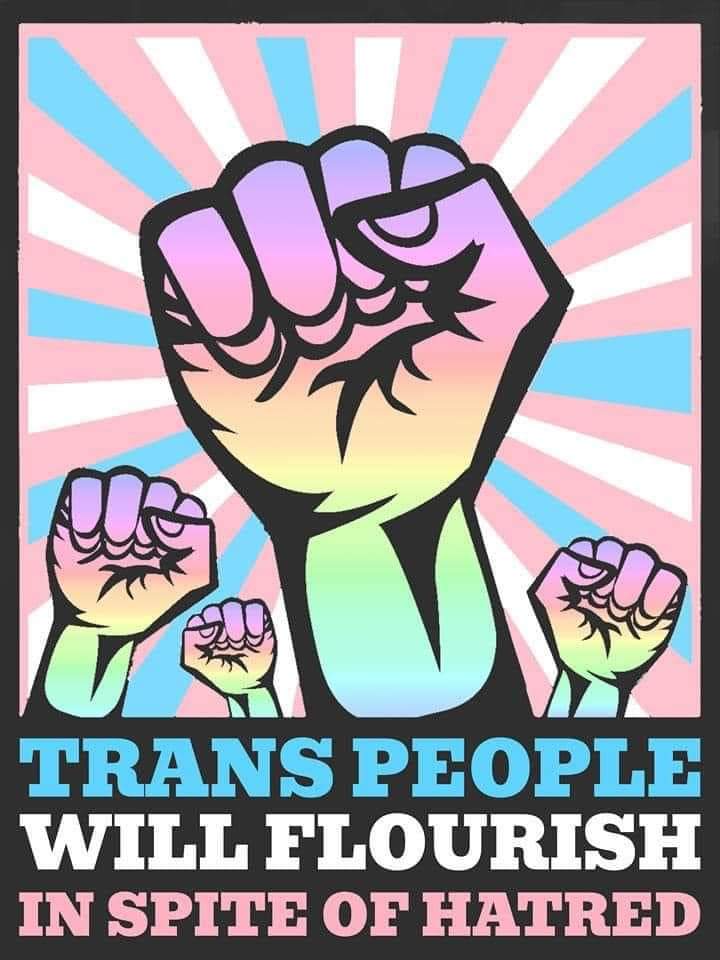 WhereTrueLoveIs's tweet photo. #transgender https://t.co/sngVbwyddE