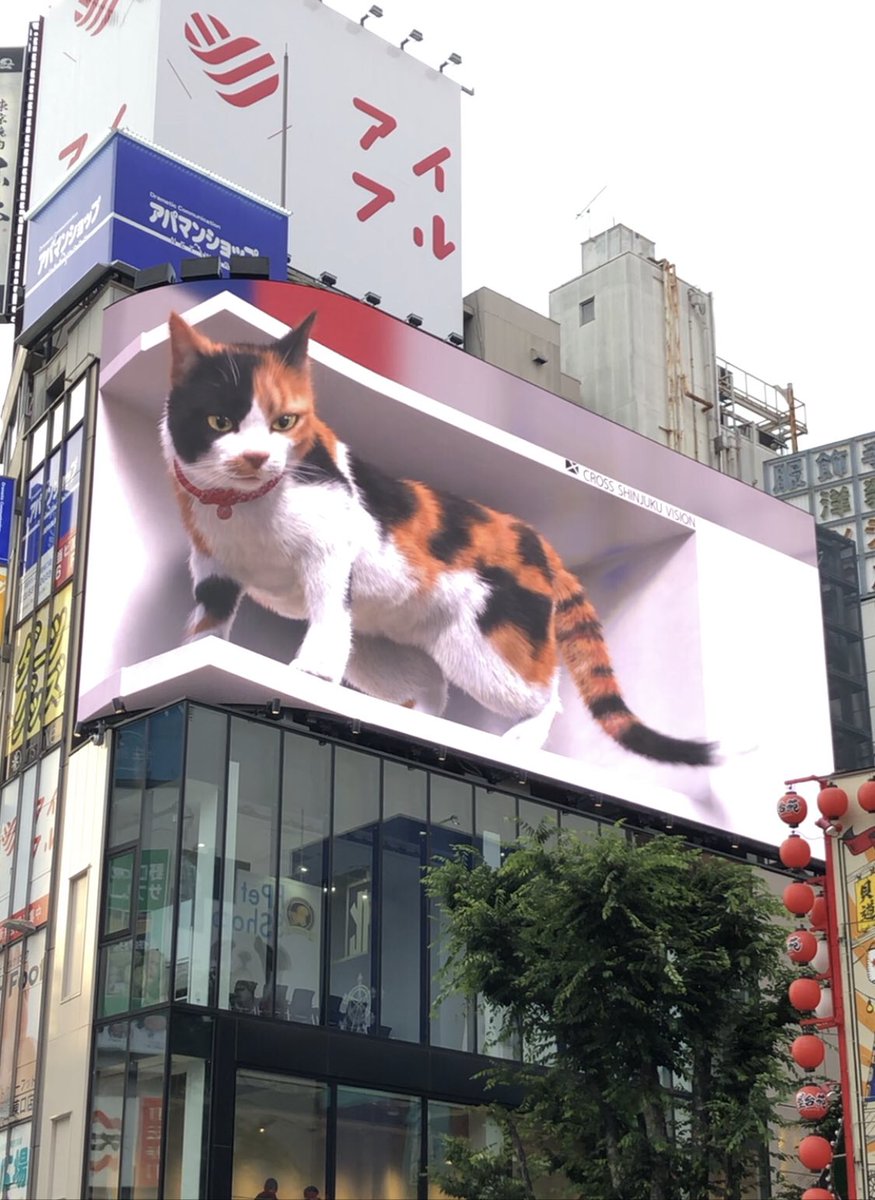 TokyomySpot's tweet image. 🇺🇸[Spot]
Cross Shinjuku Vision
(Shinjuku East Exit)
  at northeast edge
- 3D vision famous for 3D cats!
shinjuku.xspace.tokyo
- Viewing from the other side of the road at the crosswalk is fine👩🏻‍💼
#CrossShinjukuVision #ShinjukuCat #3Dcat #TmSspot #Tokyo #travelTokyo #travelJapan