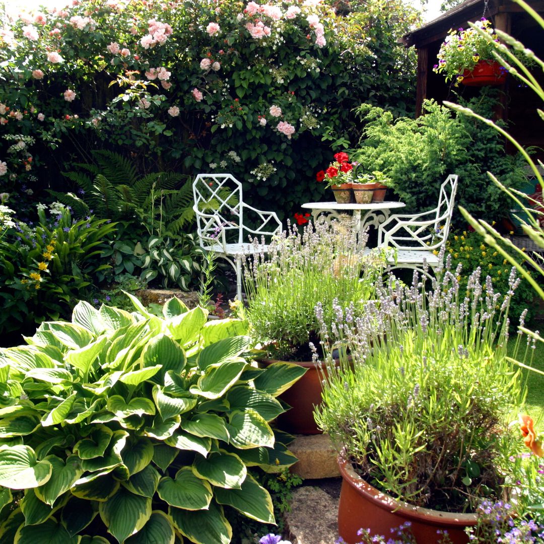SongBirdSBS's tweet photo. 🐦🧤We’re working with gardening pro @TobyBuckland to help us all #ThinkBirds this Spring 🏡🦋 Top Tip 10 - Make the most of a small space. Provide potted plants, climbers and shelters to attract wildlife.
Find all 10 tips here: https://t.co/ex1IW65FuY #GardenForBirds https://t.co/kwrbrD9BwR