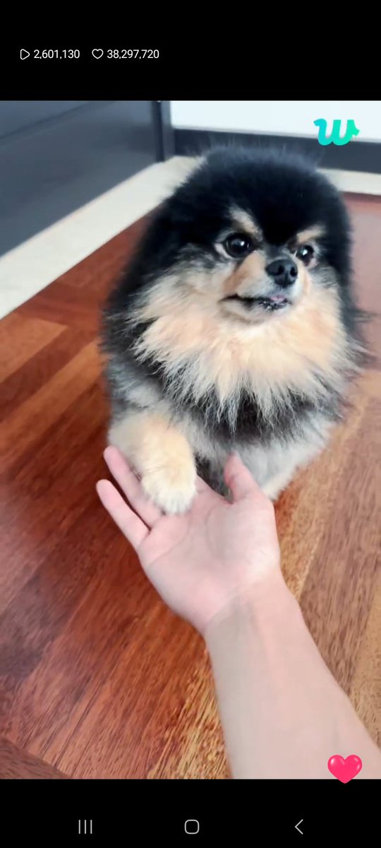 gcfinyoon's tweet photo. 🥺🥺🥺🥺🥺🥺💜 https://t.co/zcmOt3kgJR