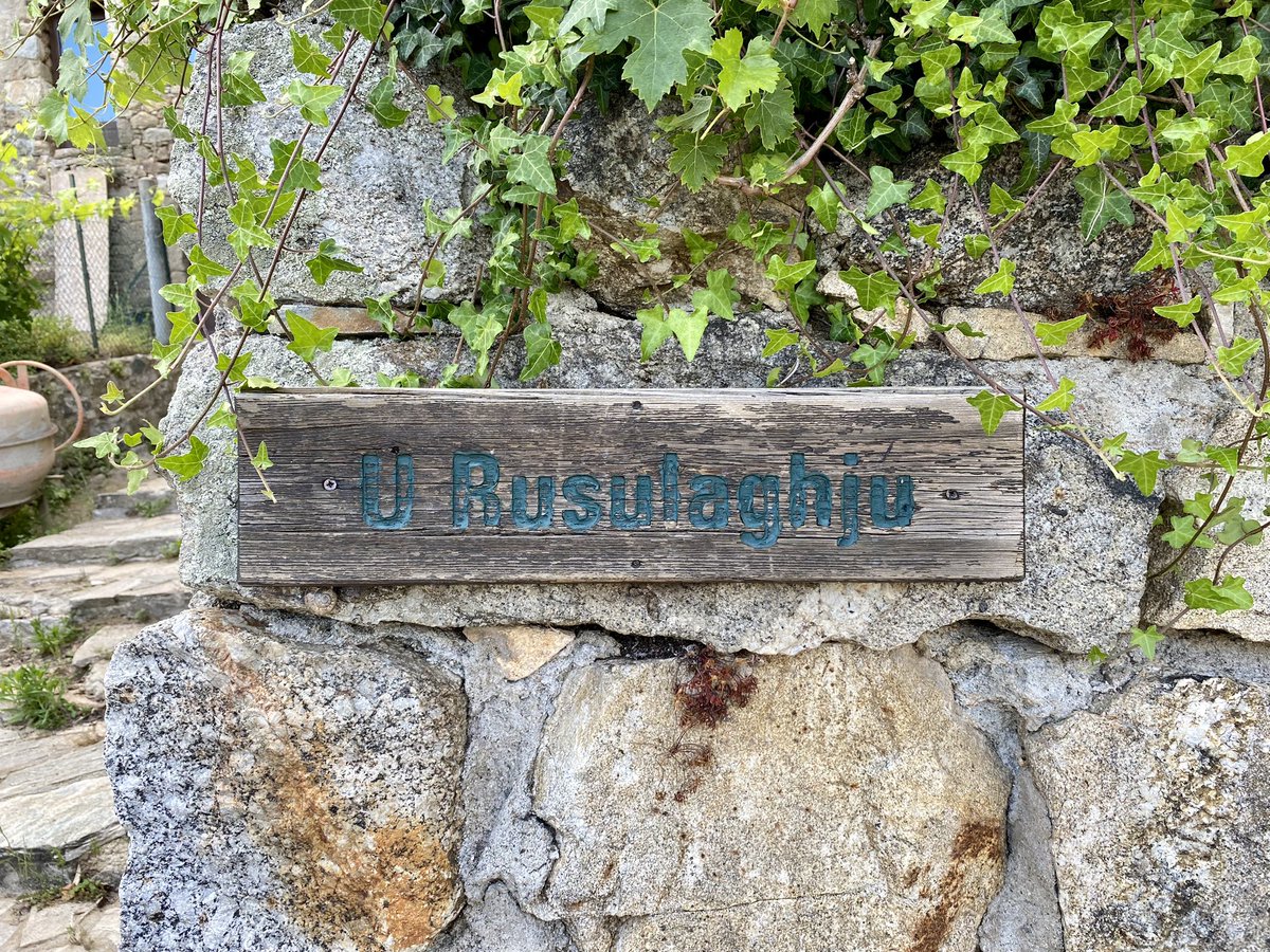 JM Bisgambiglia tweet media