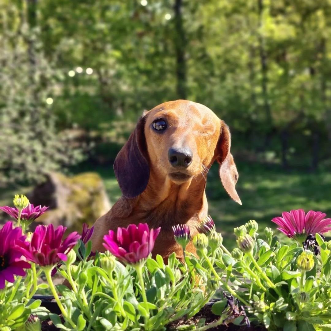 ¿Como me describirías en una palabra?