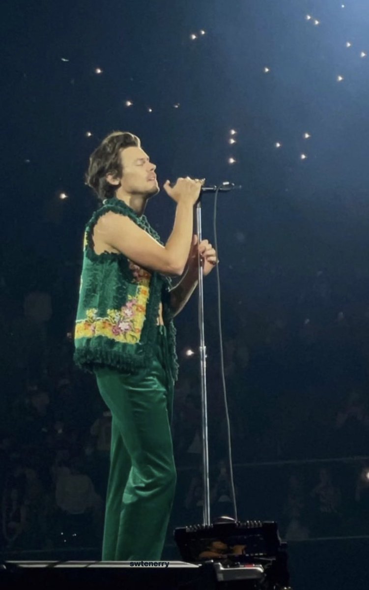 swtenerry's tweet photo. harry styles, love on tour: by me  ʚ ɞ https://t.co/Wztazz8ImG