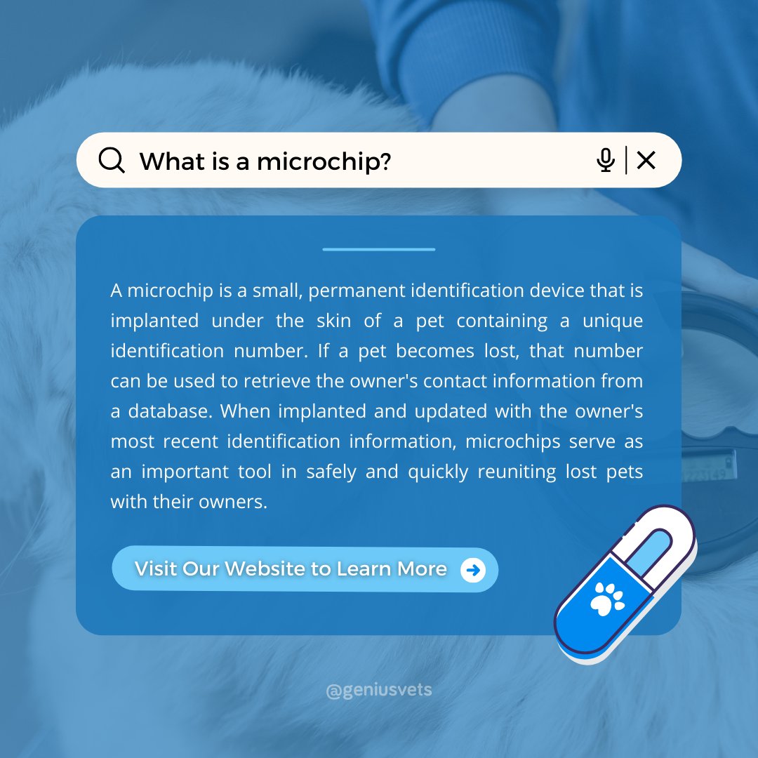 Is your pet microchipped? #microchipawareness #identification #whatisamicrochip #safety #veterinary #cats #dogs #steveston #richmond