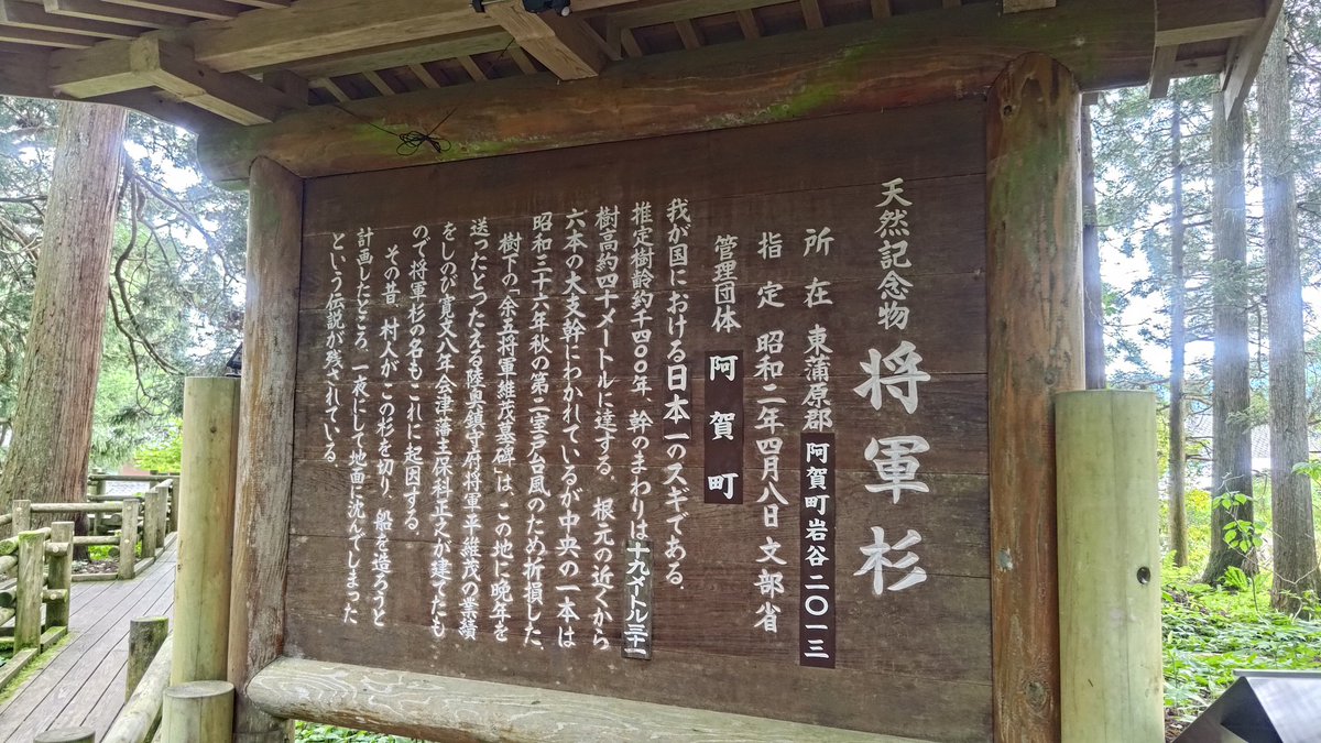 日本一大きな木 将軍杉
阿賀町にあります。屋久杉より大きいんだそうな。

日本一というのでもっと大きいのを想像していたというのが正直なところ。

とても静かなスポットでした。