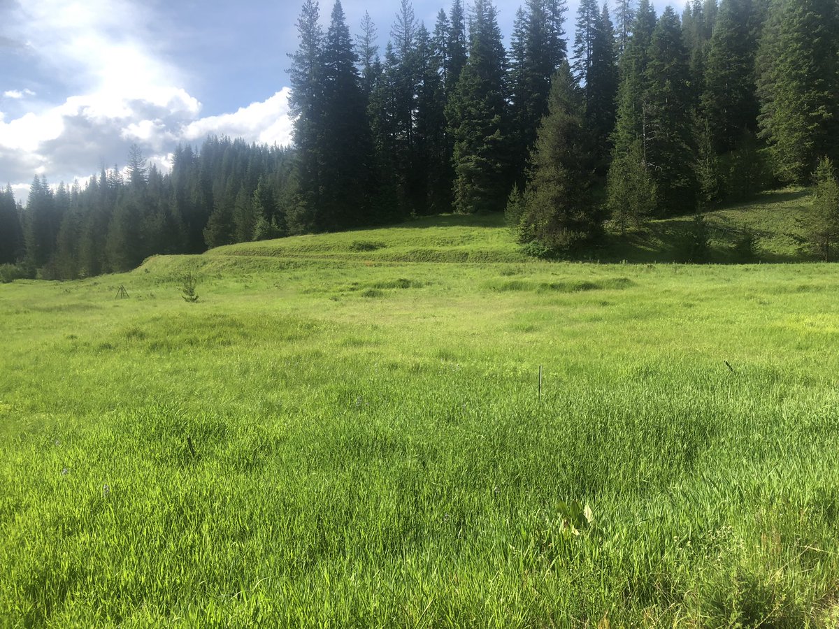 Nimiipuu Protecting the Environment tweet media