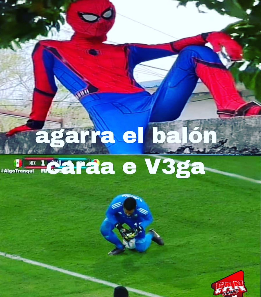 Fansportsmx tweet media