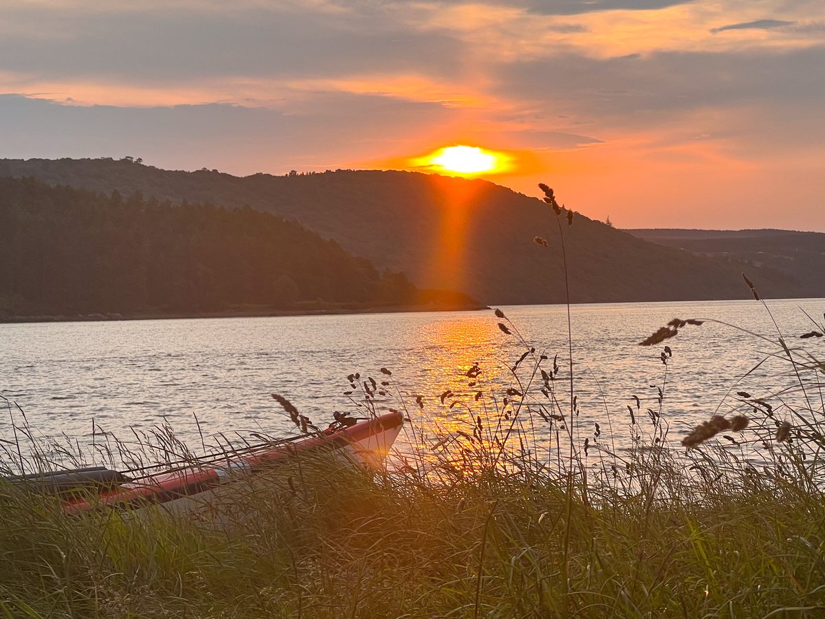 Nick Ray tweet media