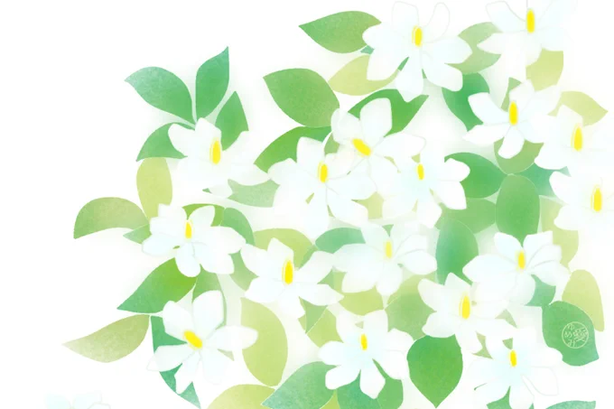 PIXTAさんに再投稿用に調整、修正した素材               クチナシ1,2,3,4  #PIXTA