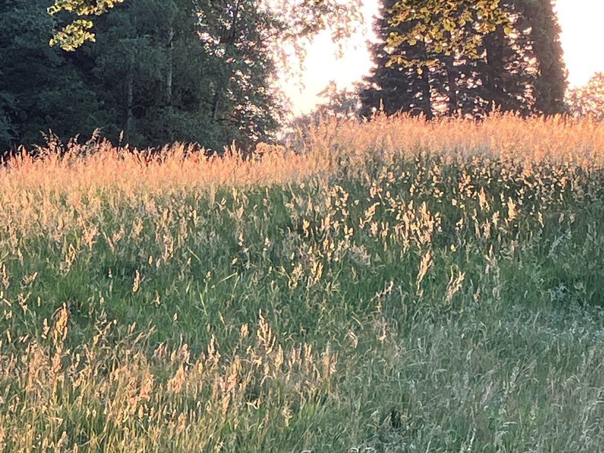 witblok's tweet image. Posbank. #hardlopen