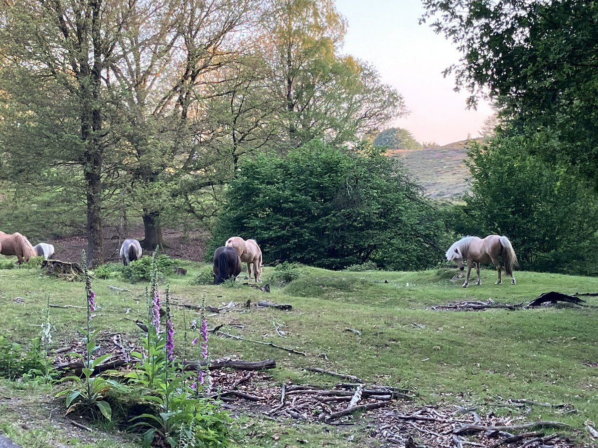 witblok's tweet image. Posbank. #hardlopen