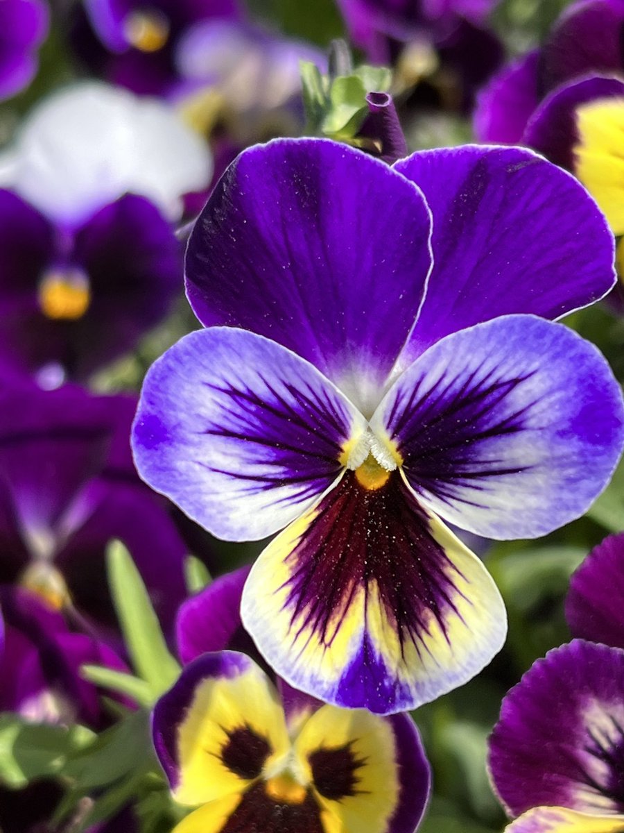 Dr Parisaa,OBGYN(REI) on Twitter