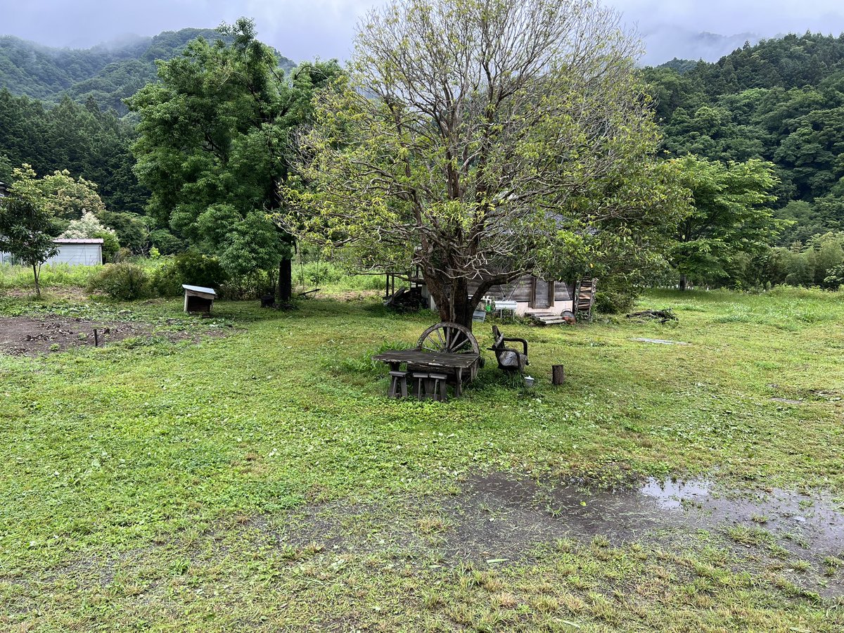MOTSTokyo's tweet photo. この写真だと晴れてるように見えますが、ずっと雨が降っているので屋内でパフォーマンスしてもらいます〜！ https://t.co/mMVI77IDWK