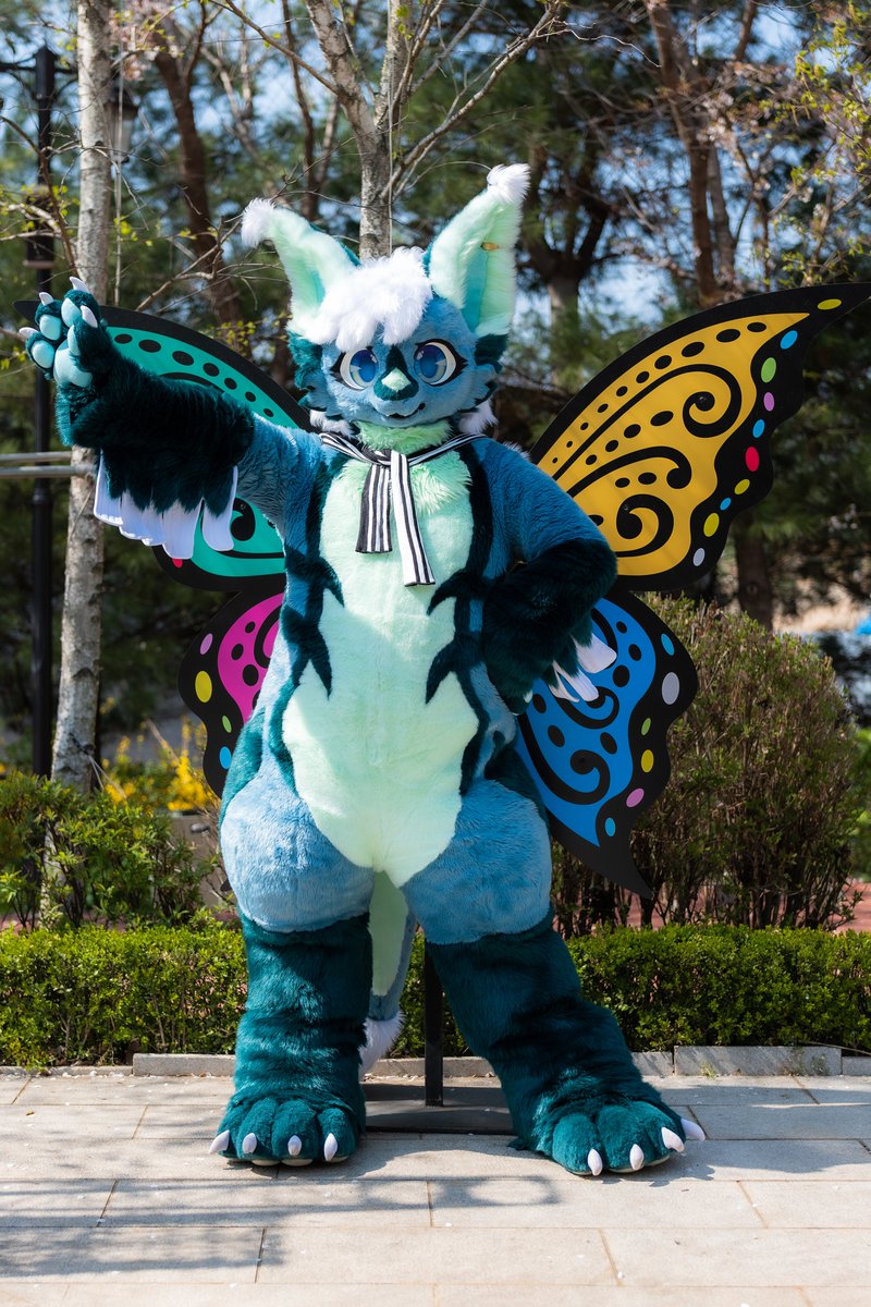 #FursuitEveryday
🦋💚