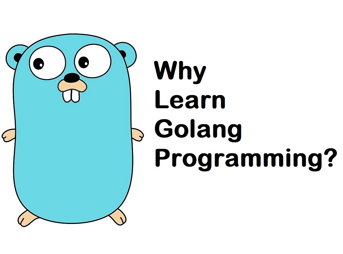 javinpaul's tweet image. Top 5 Courses to Learn Golang in 2023
1. Go: The Complete Developer's Guide: bit.ly/3NF0msd
2. Programming with Google Go:  bit.ly/3lFG0Dh
3. Go Fundamentals:  bit.ly/3MNVfpz
4. Learn Go :  bit.ly/39Tg6cg
more - bit.ly/3oWJbb3