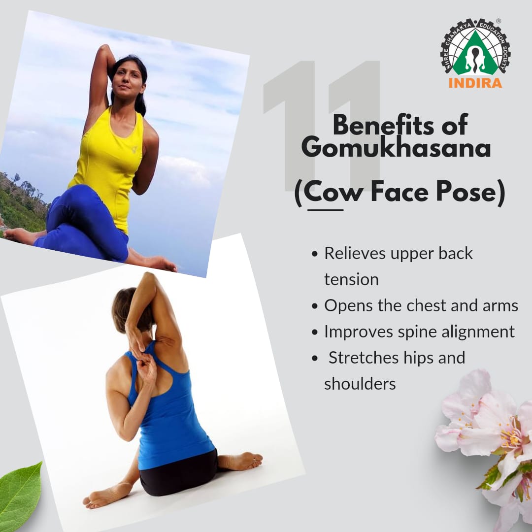 IIMP_MBA's tweet photo. Gomukhasana helps to improve posture and alleviate discomfort caused by prolonged sitting or hunching over electronic devices. It also stimulates the muscles of the upper back. #21daysofyoga #yogaforhumanity #yoga #yogalife #yogapractice #yogaeverywhere #yogaposes #yogapose #yoga https://t.co/wT9Hyw1R5n