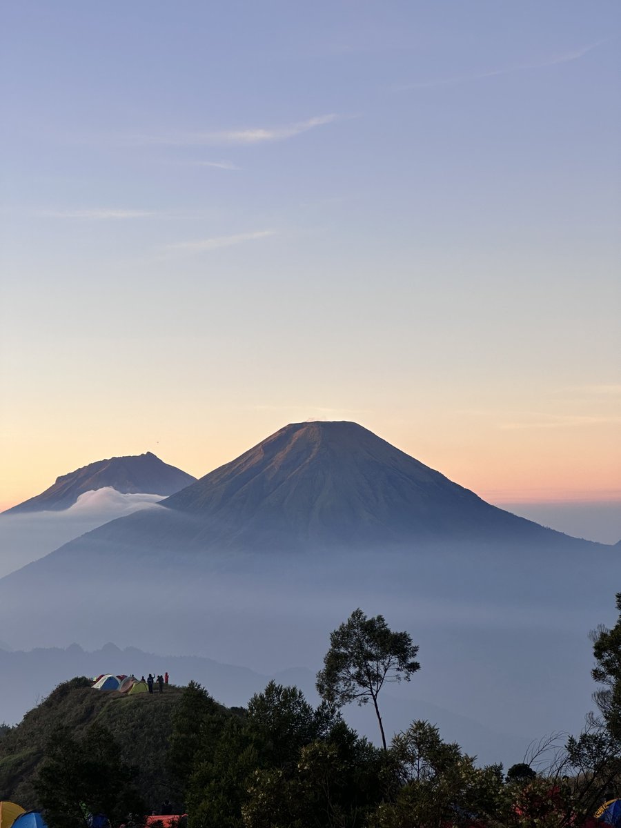 ディラ tweet media