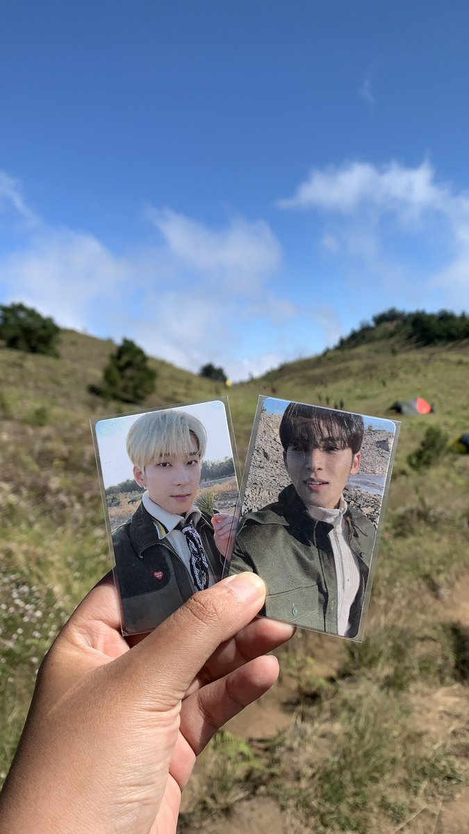 ディラ tweet media