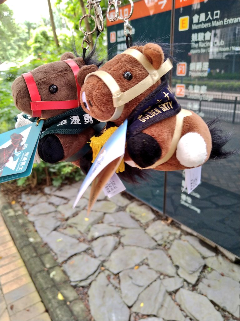 ハッピーバレー競馬場併設の香港競馬博物館に来ました(*´ω｀*)
ゴールデンシックスティとロマンチックウォリアーのぬいぐるみが買えて大満足♪