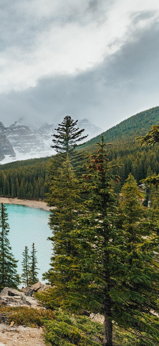 Don't lose confidence. As long as you persevere, you will get results.  <a href="/AyalaKovin/">Ayala Kovin</a>  <a href="/DorisWi15126624/">Doris Wilcox</a>  <a href="/Bernade07188291/">Bernadette</a>