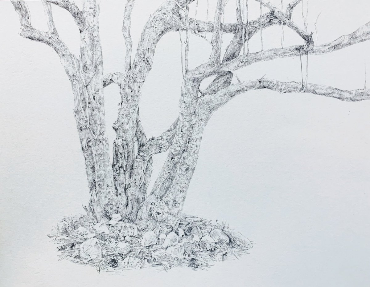 画像フォルダ漁ってたら
ボールペンの絵がちょこちょこ出てきた
一発描きしてた頃懐かしいな…
🪵🦄⭐️ 