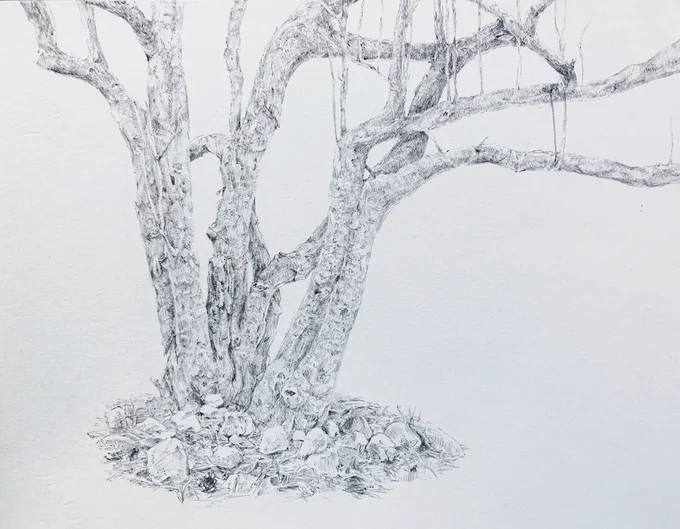 画像フォルダ漁ってたら
ボールペンの絵がちょこちょこ出てきた
一発描きしてた頃懐かしいな…
🪵🦄⭐️ 