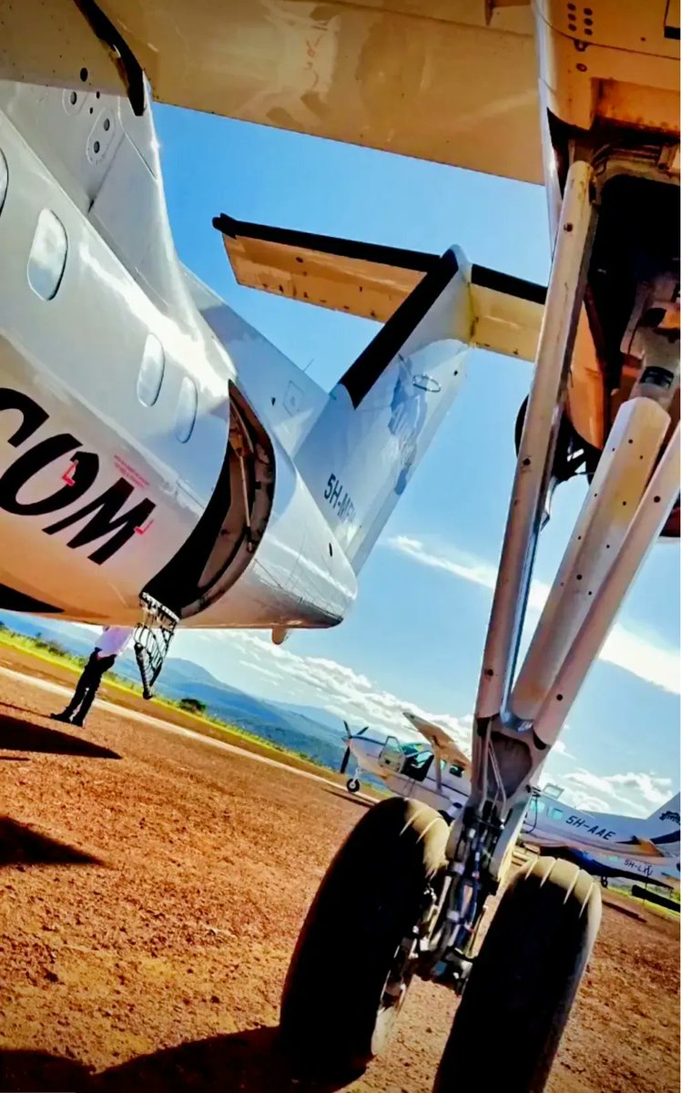 Auric Air fleet waiting for boarding at Seronera airstrip. 

Book your flight today and get ready for an adventure of a lifetime!

#auricair #bushtobeach #serengeti #zanzibar #tanzania #cessnacaravan #turboflight #africansafari