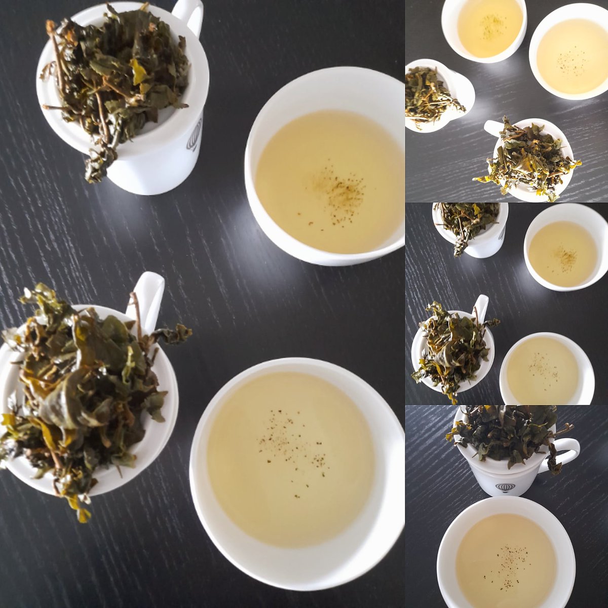 We're excited to be tasting spring 2023 tea samples from Alishan Mountain. Buttery, floral, sweet, and slightly roasted flavours coat the palate and intensify with each steep as the leaves open up.  This region produces the best oolongs in the world. #tea #oolong #terroir