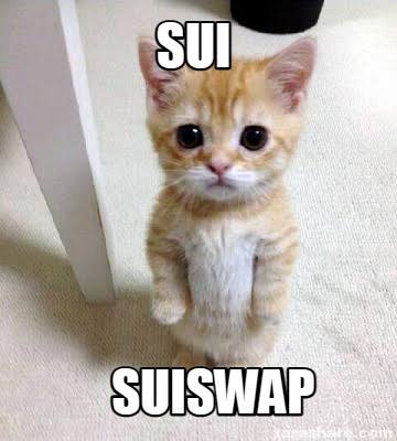 I hope I receive my airdrop in mid-June
<a href="/suiswap_app/">Suiswap</a>  #SUI