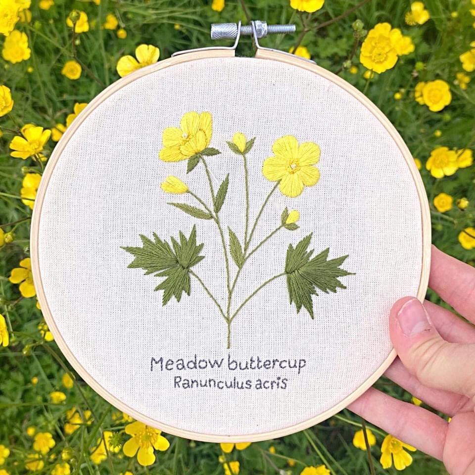 Little Green Stitches tweet media