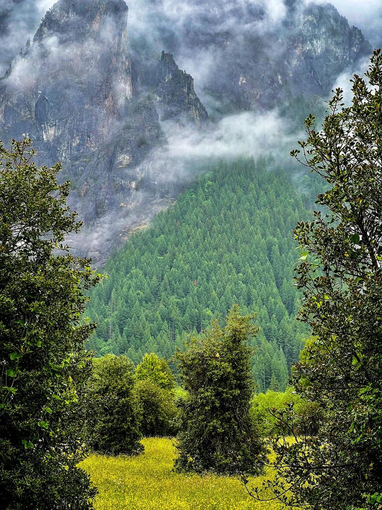 Enjoy the #EαrthPørn!

Mount Si, North Cascades WA [OC] 3000x2800 
Photo Credit: Cathi2222 
.