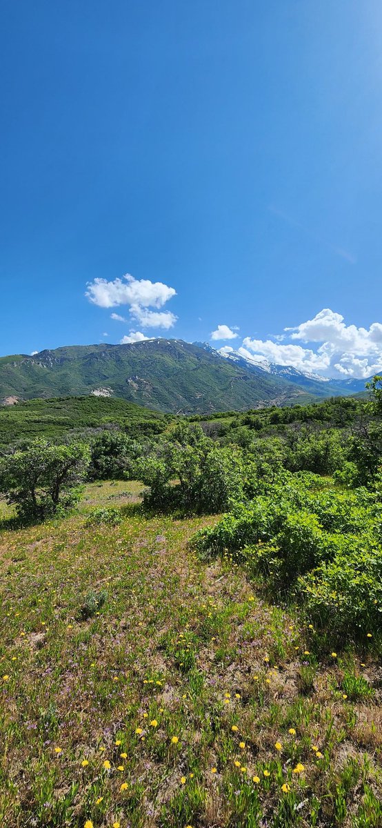 Jordan Davis 💚 tweet media