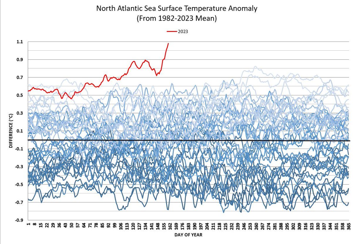 L_Oberndorfer's tweet image. Das ist äußert besorgniserregend: Die Temperatur der Meeresoberfläche des Atlantik heizt sich dieses Jahr extrem auf (rote Linie im Vergleich zu den 40 Jahren davor in blau). Das zieht heftige Extremwetterereignisse (Hurrikans, Starkregen,...) nach sich. 1/6