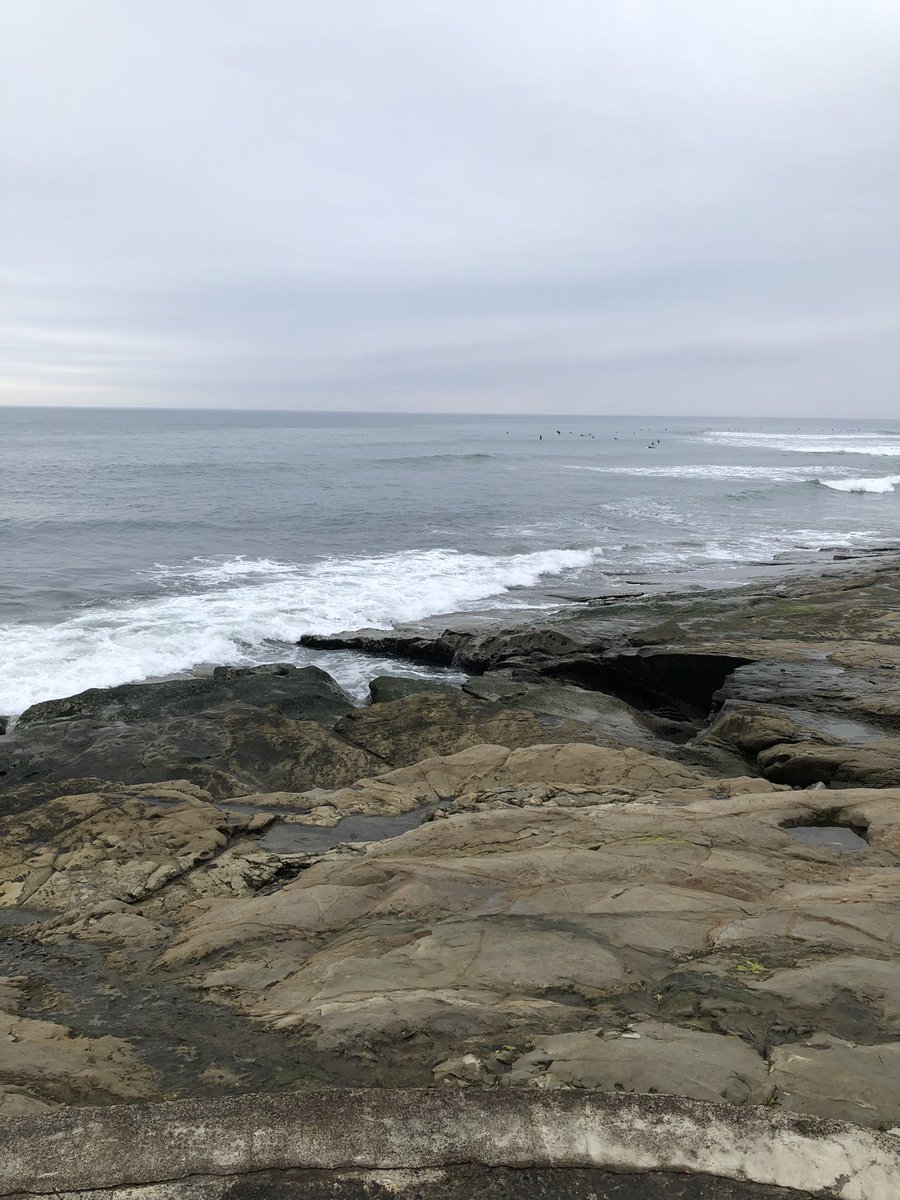 はんぱなく癒されるんだけどw https://t.co/qvXHpcyaQZ